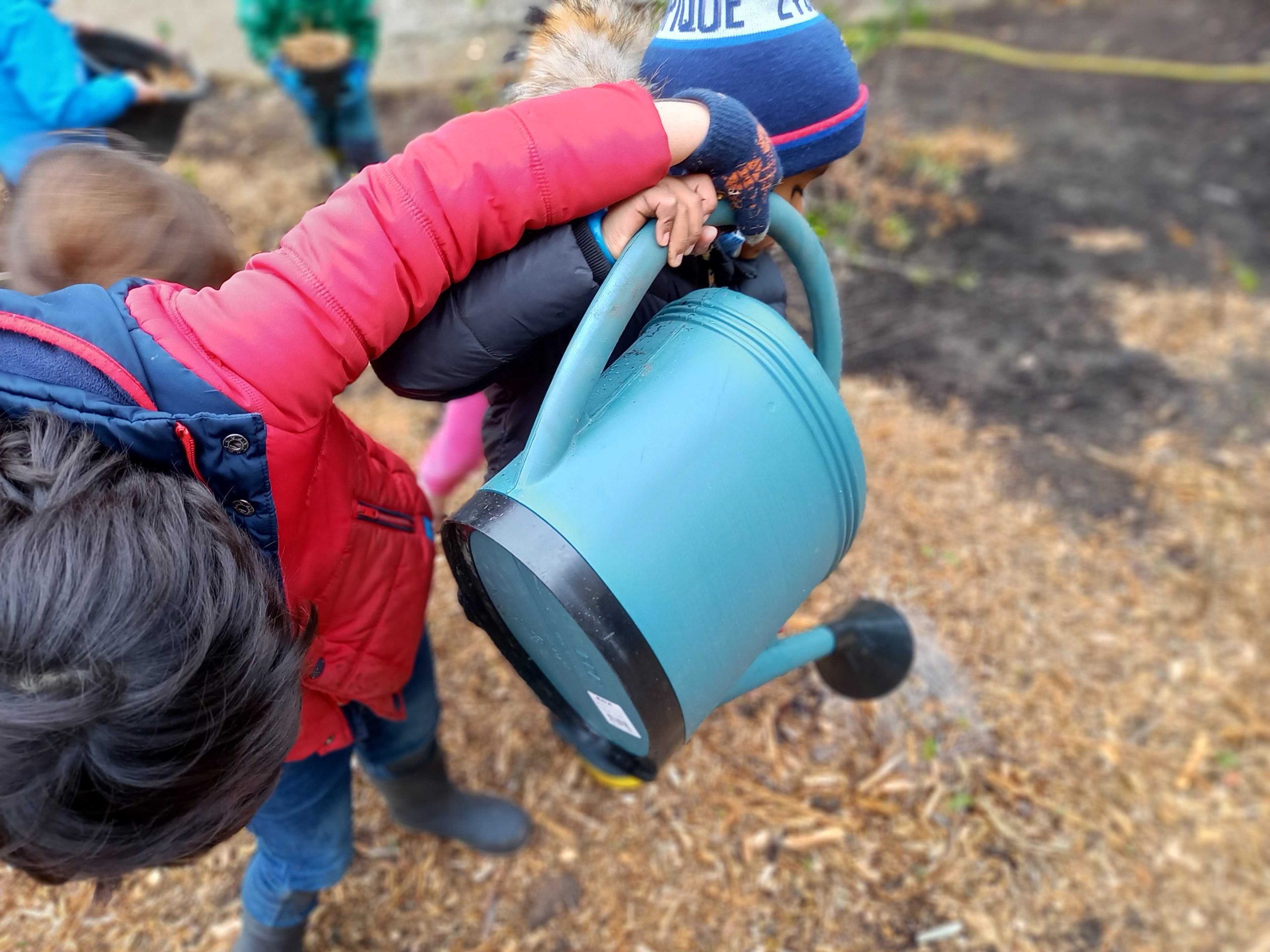 Zoë and son helping plant trees
